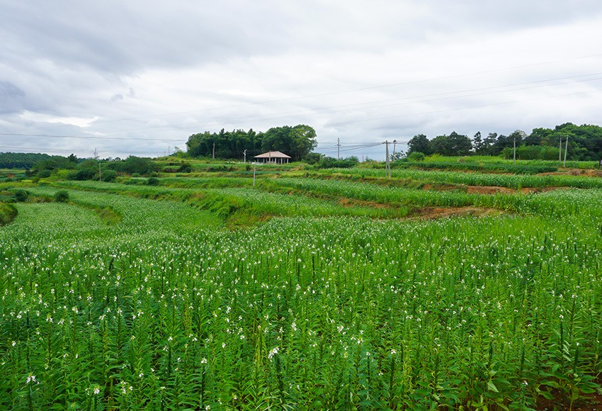 基地风采