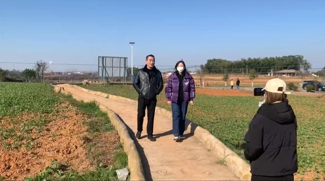 直播介绍武蛟黑芝麻油菜循环种植基地