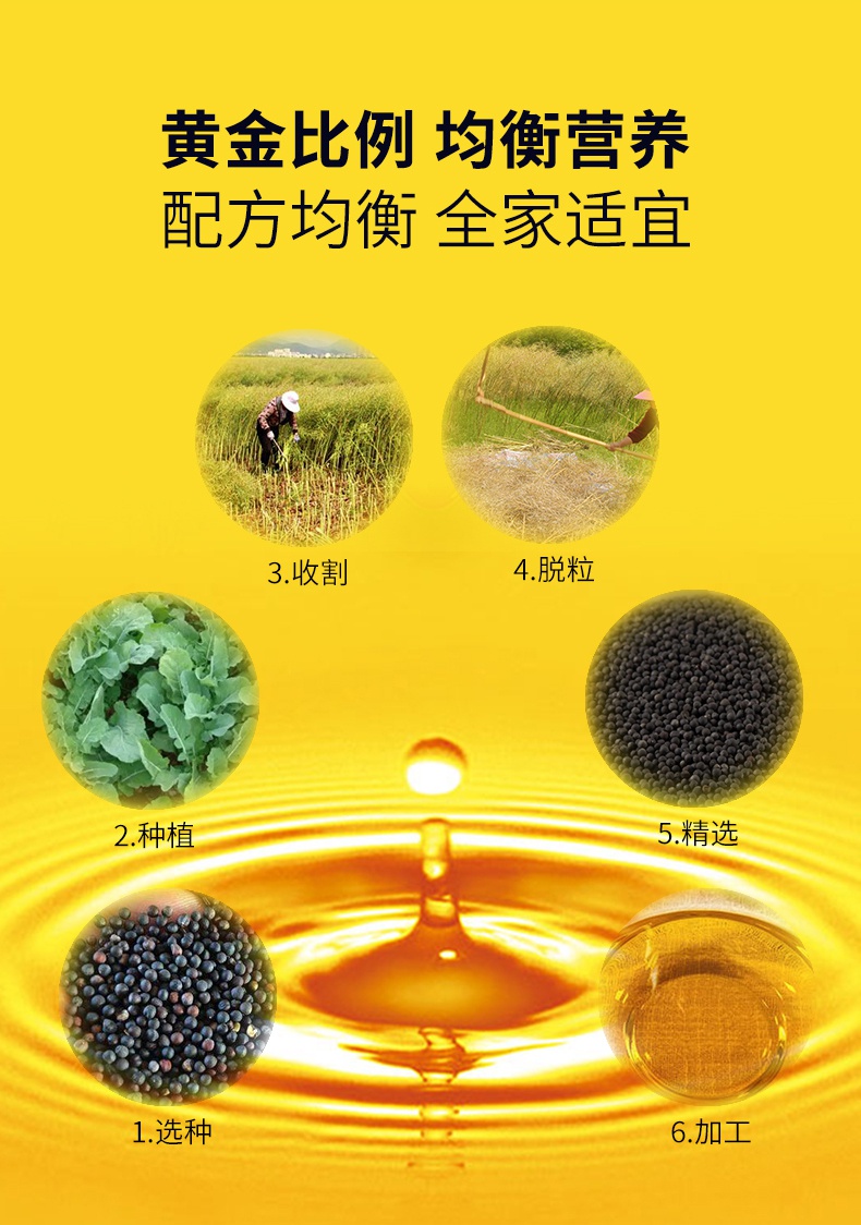 菜籽油5L详情页_08.jpg