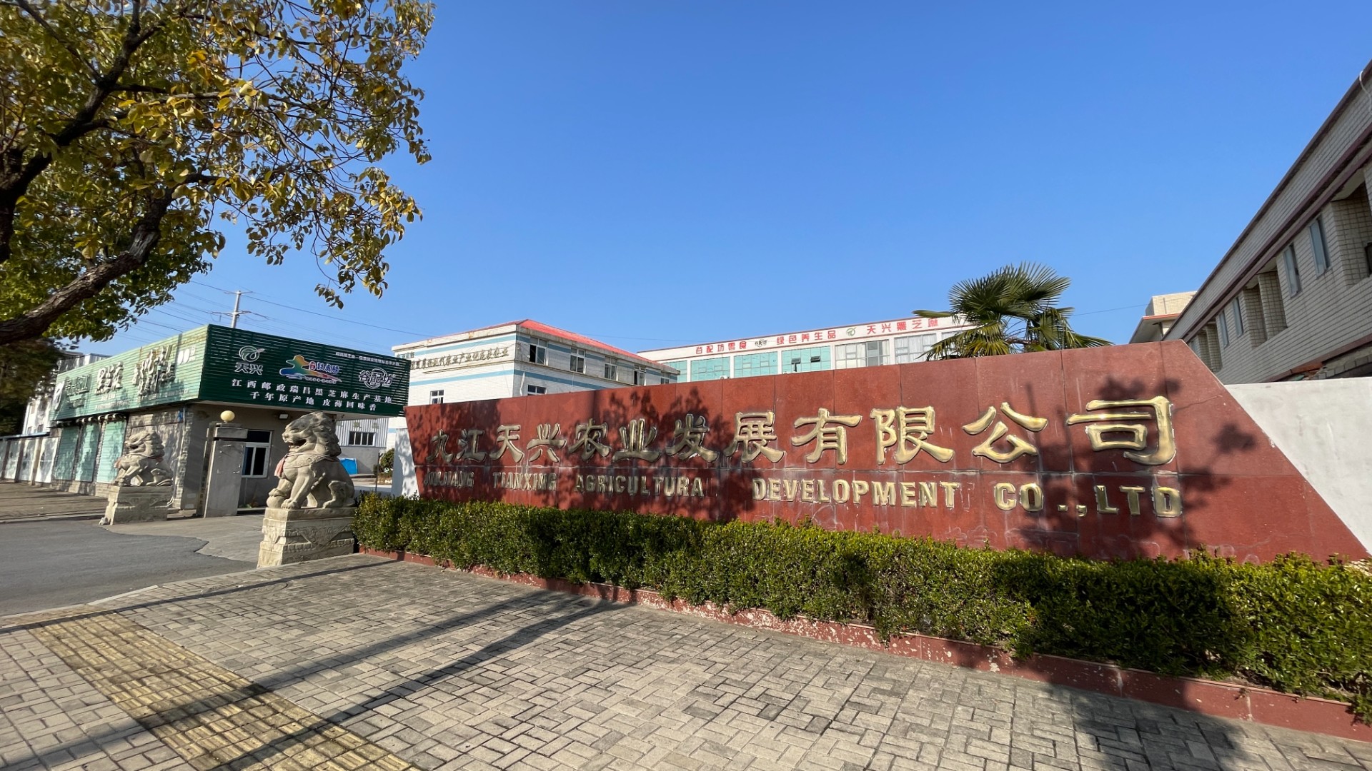公司大门