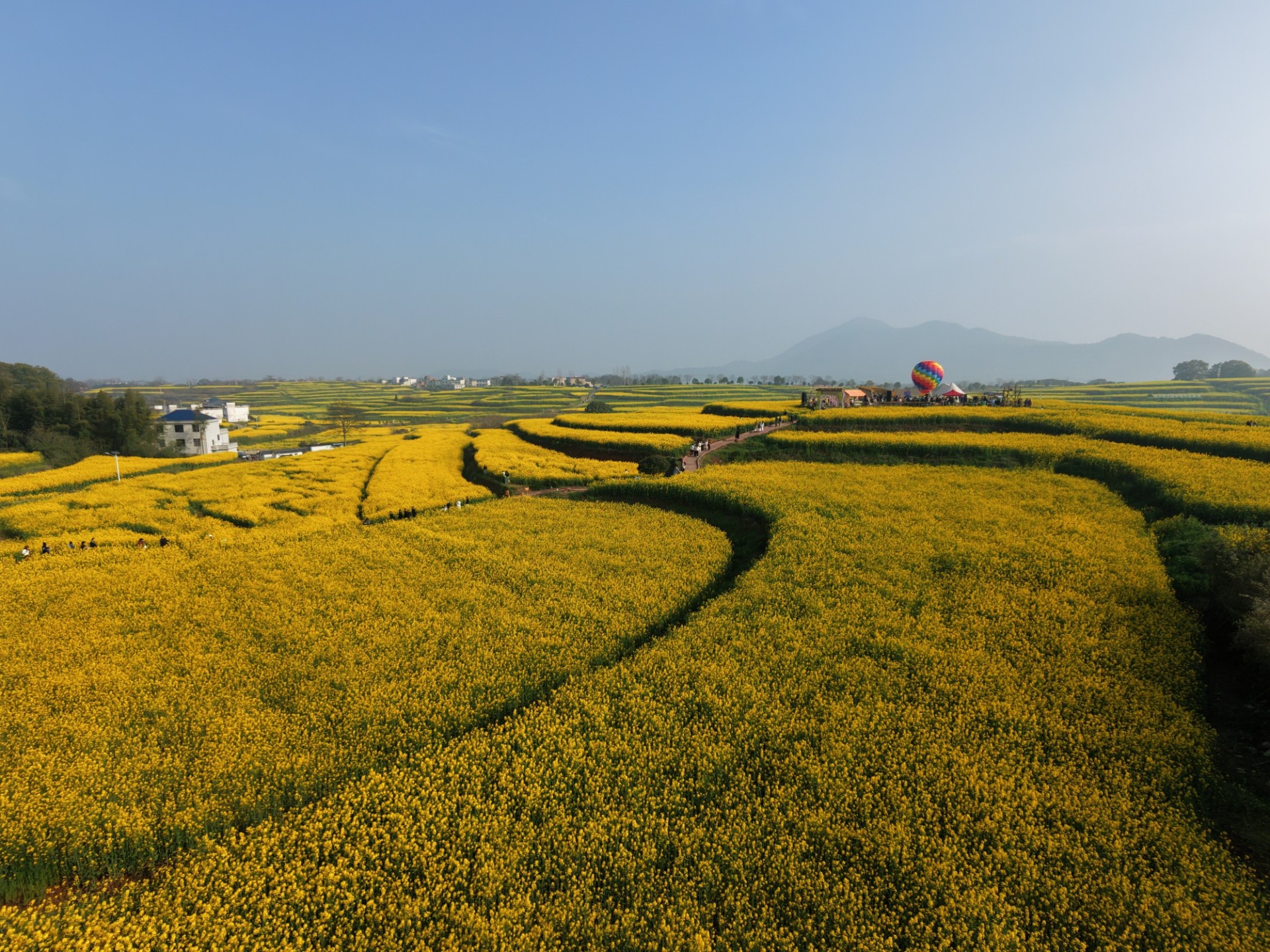 芝田缀金，研学传情｜瑞昌黑芝麻科技小院武蛟基地春日限定回忆