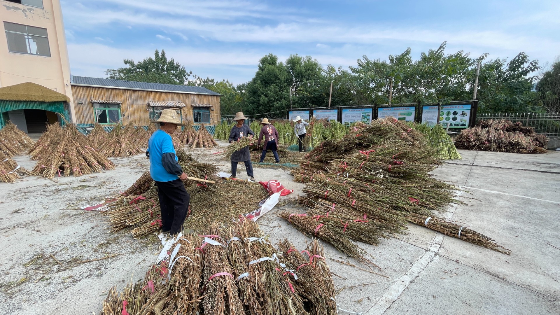 五一劳动节快乐｜躬耕黑土传芝香，致敬每一位兴农劳动者