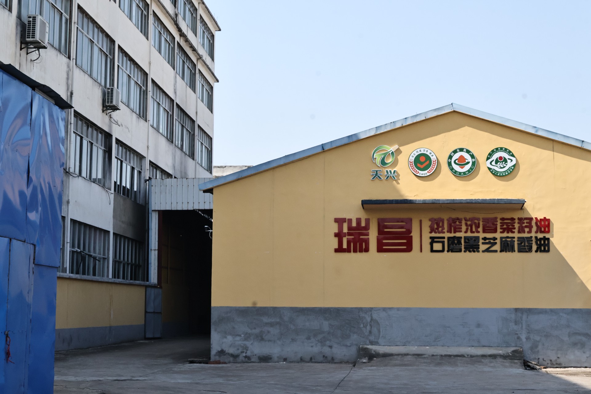 新鲜油料代加工！九江天兴瑞昌榨油坊平价接单，新菜籽高价收购中
