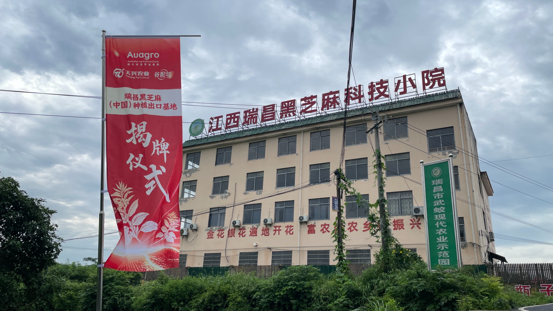 揭牌启新程|澳大利亚农业集团・中国黑芝麻(瑞昌)种植出口基地揭牌仪式圆满举行