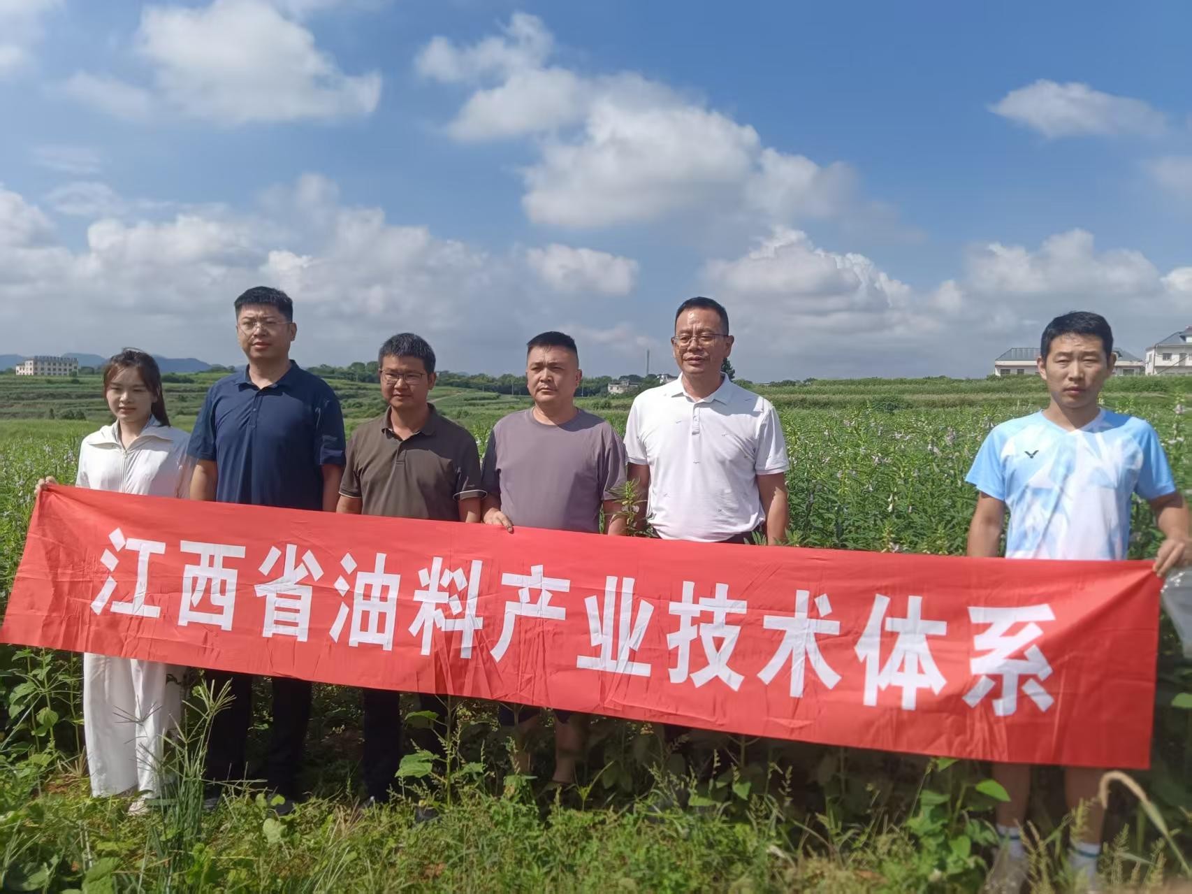 深耕黑芝麻产业,专家深入基地查看作物长势